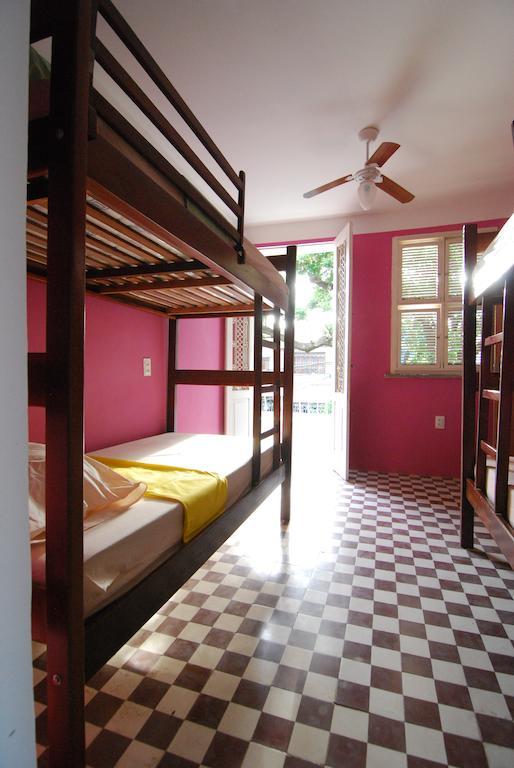 Bed in 8-Bed Dormitory Room